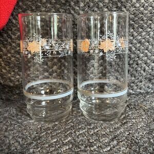 Corelle Apricot Grove Clear Drinking Glass Set of 2 Corning‎ Glassware Vintage